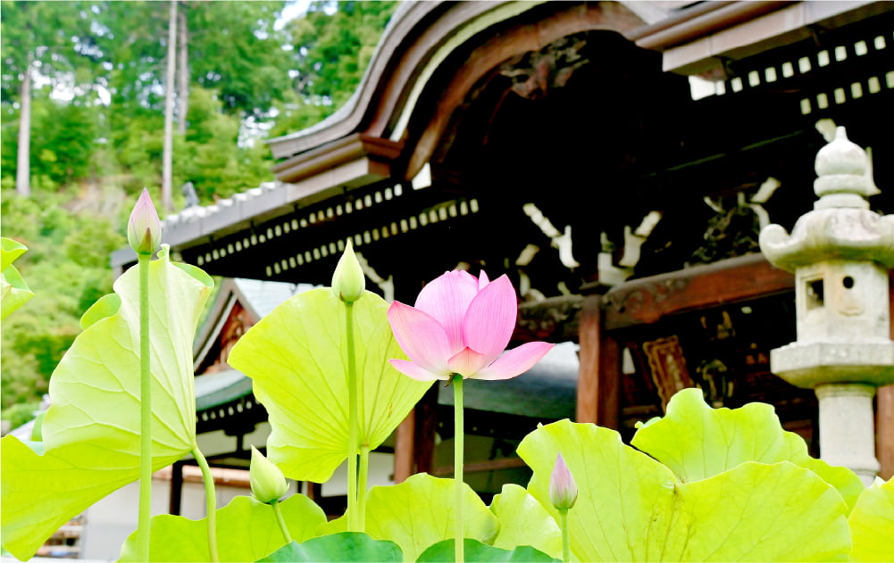 永代供養・納骨